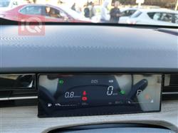 جيتور داشينج